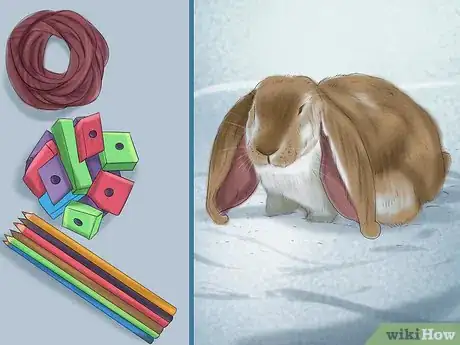 Image intitulée Raise a Lop Eared Rabbit As a Pet Step 2