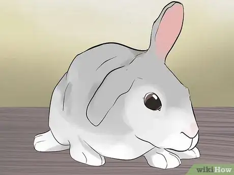 Image intitulée Read Bunny Ear Signals Step 8