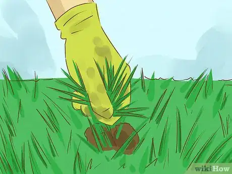 Image intitulée Kill Bermuda Grass Step 1