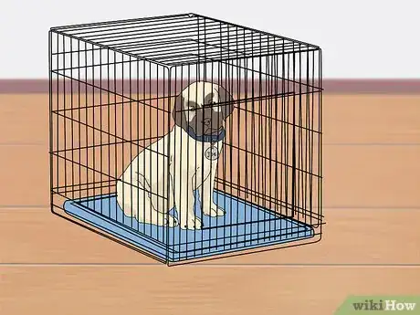 Image intitulée Take Care of Puppies Step 38