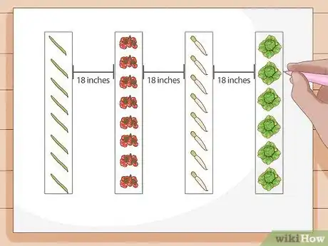 Image intitulée Grow Vegetables Step 5