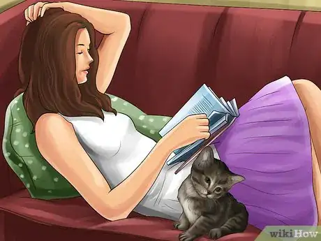 Image intitulée Turn Your Cat Into a Lap Cat Step 2