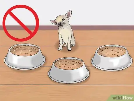 Image intitulée Take Care of Puppies Step 20