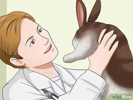 Image intitulée Make Sure Your Rabbit Has the Best Life You Can Give It Step 8