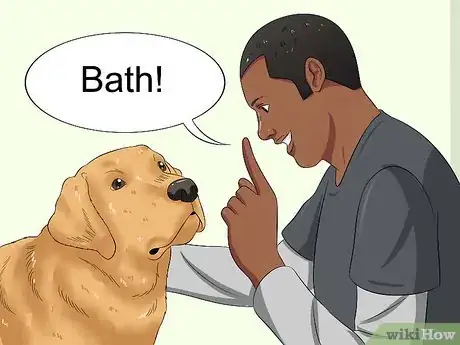 Image intitulée Bathe a Dog and Keep It Calm Step 7