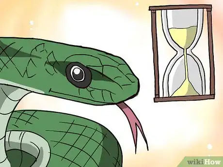 Image intitulée Choose Your First Pet Snake Step 6