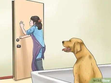 Image intitulée Give Your Large Dog a Bath Step 9