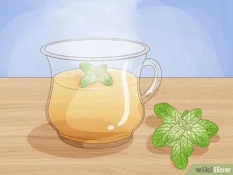 Image intitulée Grow Mint in a Pot Step 1