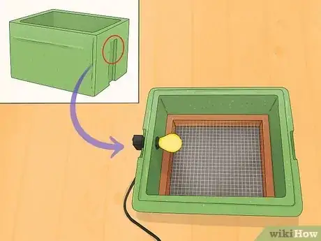 Image intitulée Make a Simple Homemade Incubator for Chicks Step 1