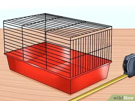 Image intitulée Care for Holland Lop Rabbits Step 1