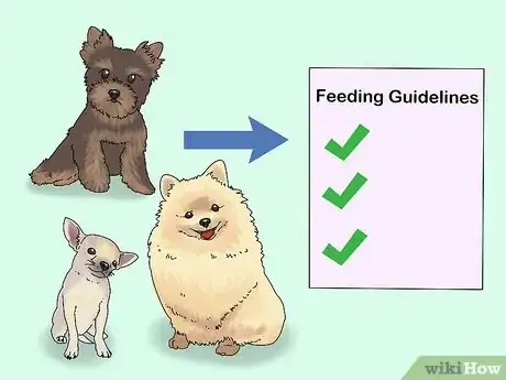 Image intitulée Take Care of Puppies Step 19