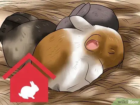 Image intitulée Make Sure Your Rabbit Has the Best Life You Can Give It Step 5