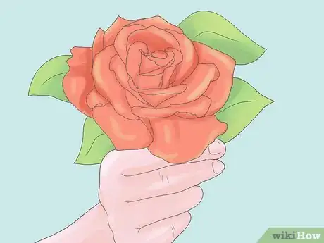 Image intitulée Plant Roses Step 1