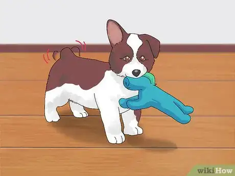 Image intitulée Take Care of Puppies Step 11