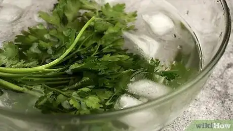 Image intitulée Freeze Cilantro Step 5