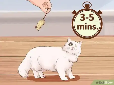 Image intitulée Train Your Cat to Fetch a Toy Mouse Step 10