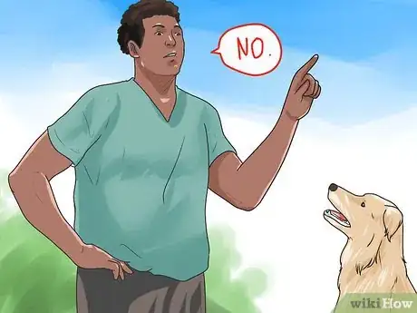 Image intitulée Gain a Dog's Trust Step 9