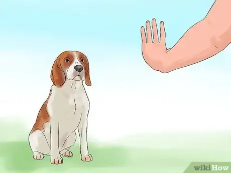 Image intitulée Teach Your Dog to Play Dead on Command Step 9