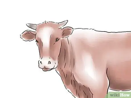 Image intitulée Start a Cattle Farm Step 6