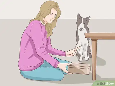 Image intitulée Test a Dog's Intelligence Step 13