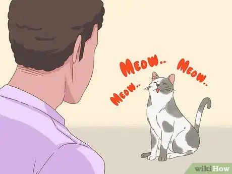 Image intitulée Communicate with Your Cat Step 9