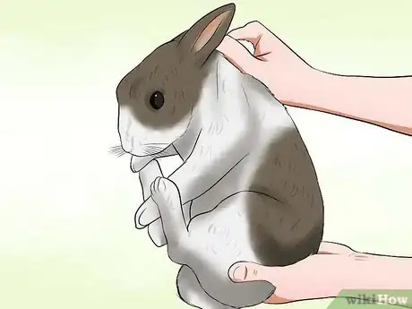Image intitulée Care for a House Rabbit Step 8