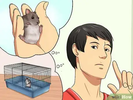 Image intitulée Choose a Hamster Step 4