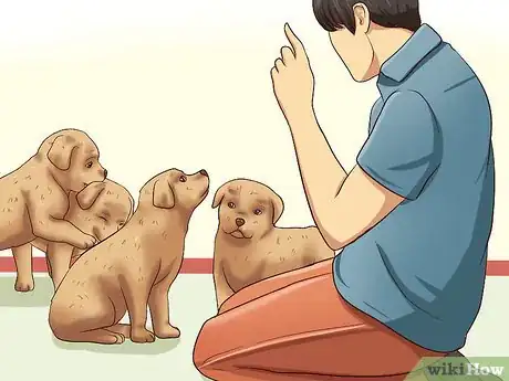 Image intitulée Prevent Dog Bites Step 10