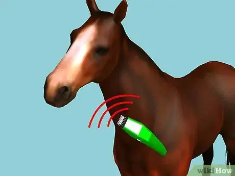 Image intitulée Clip Your Horse Step 9