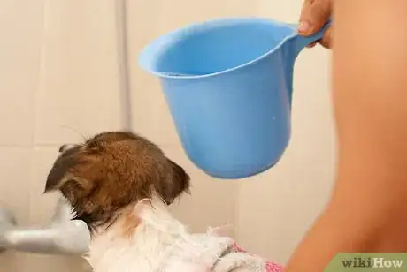 Image intitulée Bathe a Puppy for the First Time Step 25