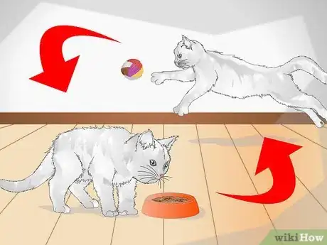 Image intitulée Spoil Your Cat Step 10