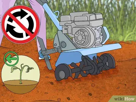 Image intitulée Fix Compacted Soil Step 10