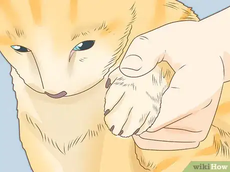 Image intitulée Trim Your Cat's Nails Step 12