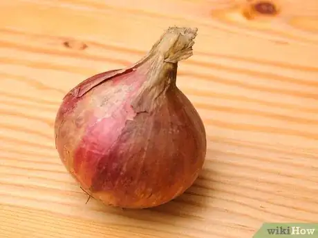 Image intitulée Store Onions Step 3