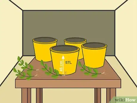 Image intitulée Grow Tomatoes in Pots Step 02