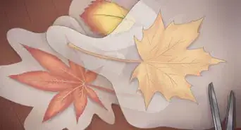 conserver des feuilles d'automne