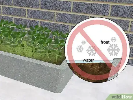 Image intitulée Make Hypertufa Planters Step 23