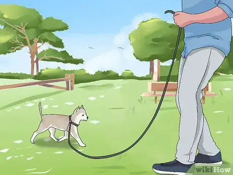 Image intitulée Take Care of Puppies Step 26