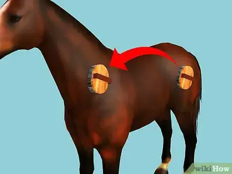 Image intitulée Clip Your Horse Step 7