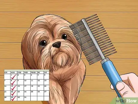 Image intitulée Prevent Matting in Dogs Step 1