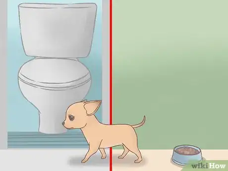 Image intitulée Care for Your Chihuahua Puppy Step 10