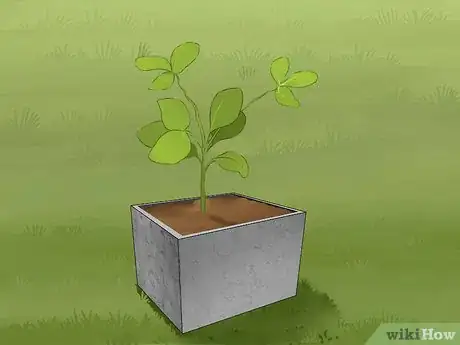 Image intitulée Make Concrete Planters Step 24