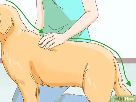 Image intitulée Pet a Dog Step 15