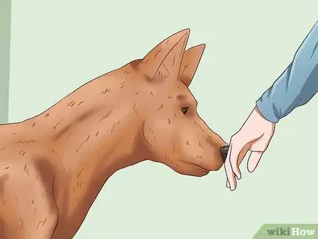 Image intitulée Prevent Dog Bites Step 1