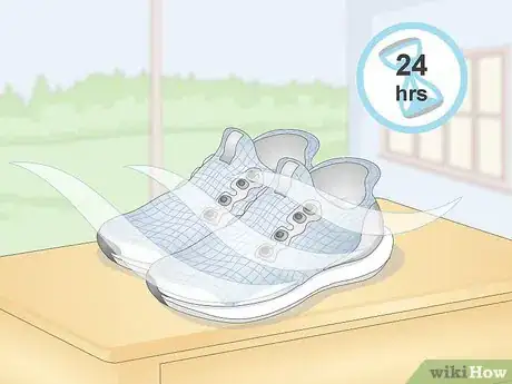 Image intitulée Clean Mesh Shoes Step 7