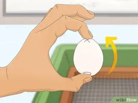 Image intitulée Make a Simple Homemade Incubator for Chicks Step 9