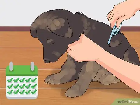Image intitulée Take Care of Puppies Step 33