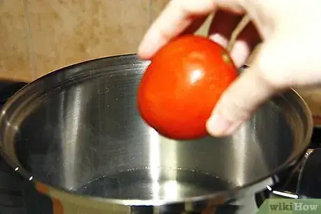 Image intitulée Can Tomato Sauce Step 7