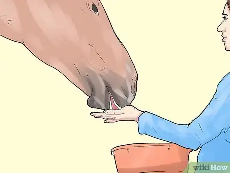 Image intitulée Befriend a Horse Step 5