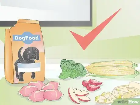 Image intitulée Feed a Dog Step 1